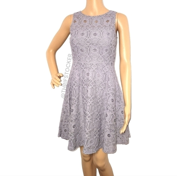 Altar'd State Dresses & Skirts - Altar’d State Halo Lace Sleeveless Fit & Flare Mini Dress